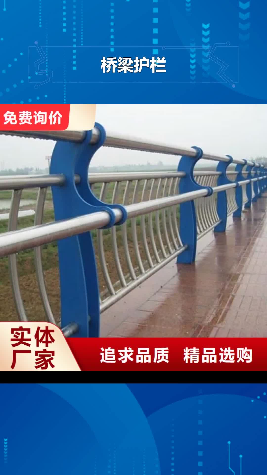 云南 桥梁护栏-【钢板立柱】客户信赖的厂家