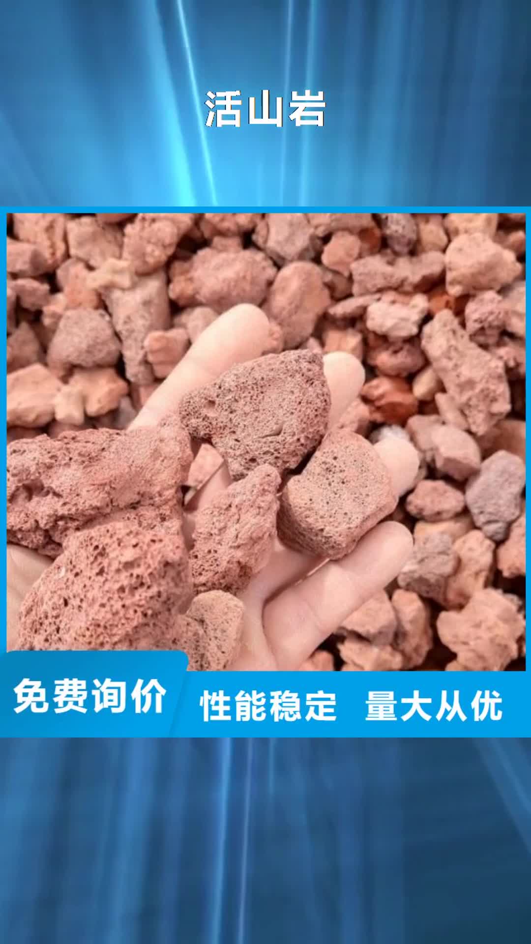 广州【活山岩】,泡沫颗粒大厂家实力看得见
