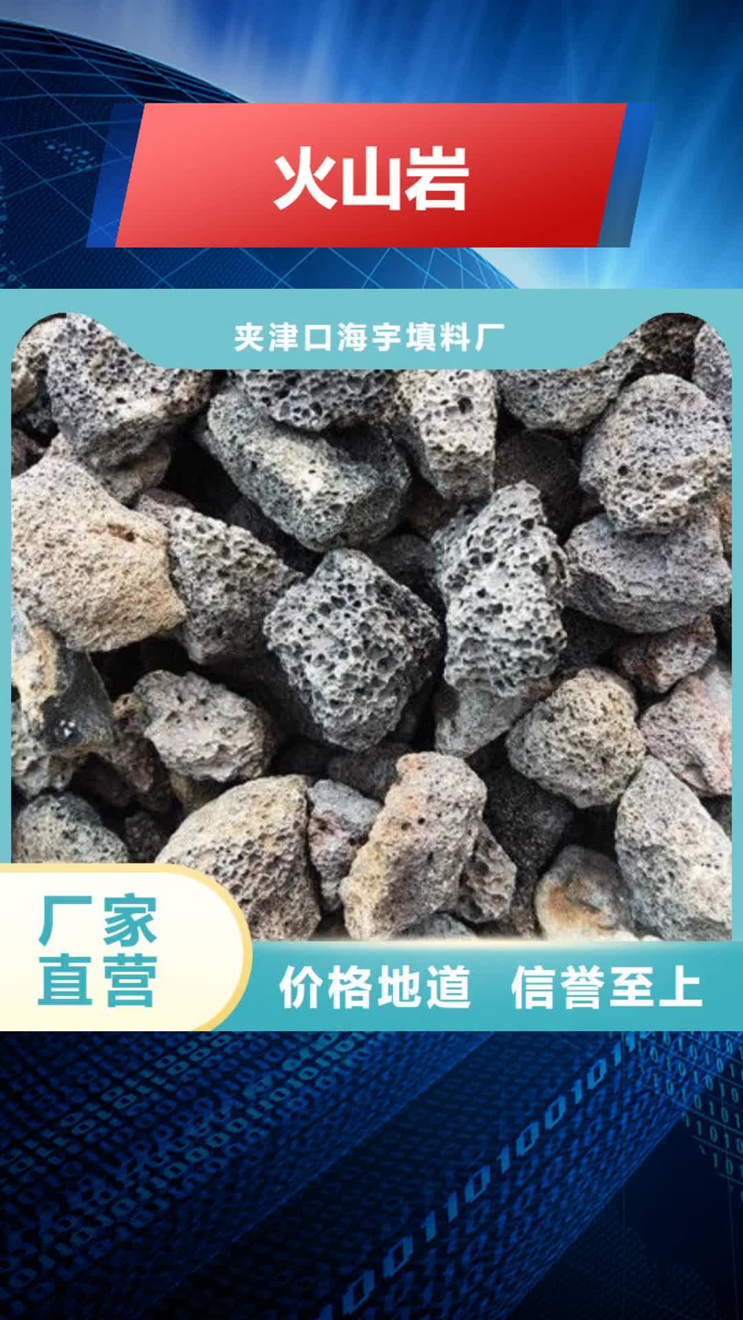 遂宁【火山岩】-纤维束滤料品质做服务